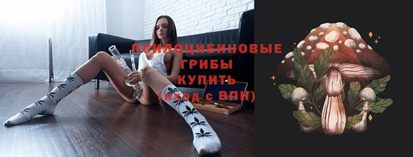 крисы Верея