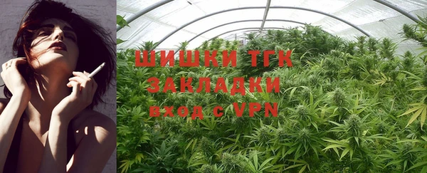 крисы Верея