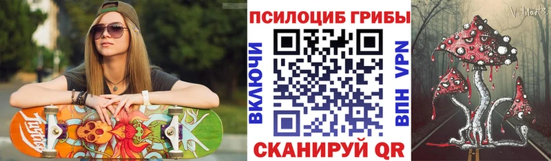 Галлюциногенные грибы MAGIC MUSHROOMS  даркнет сайт  Карачаевск 